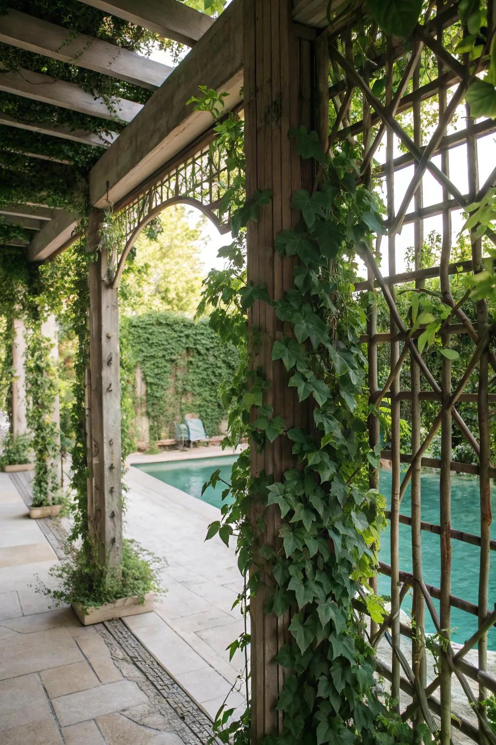 Trellis panels are perfect for adding privacy and floral beauty.