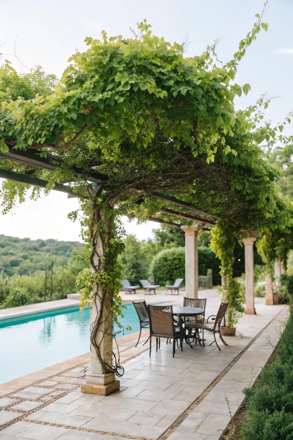 A pergola offers stylish shade and enhances the poolside ambiance.