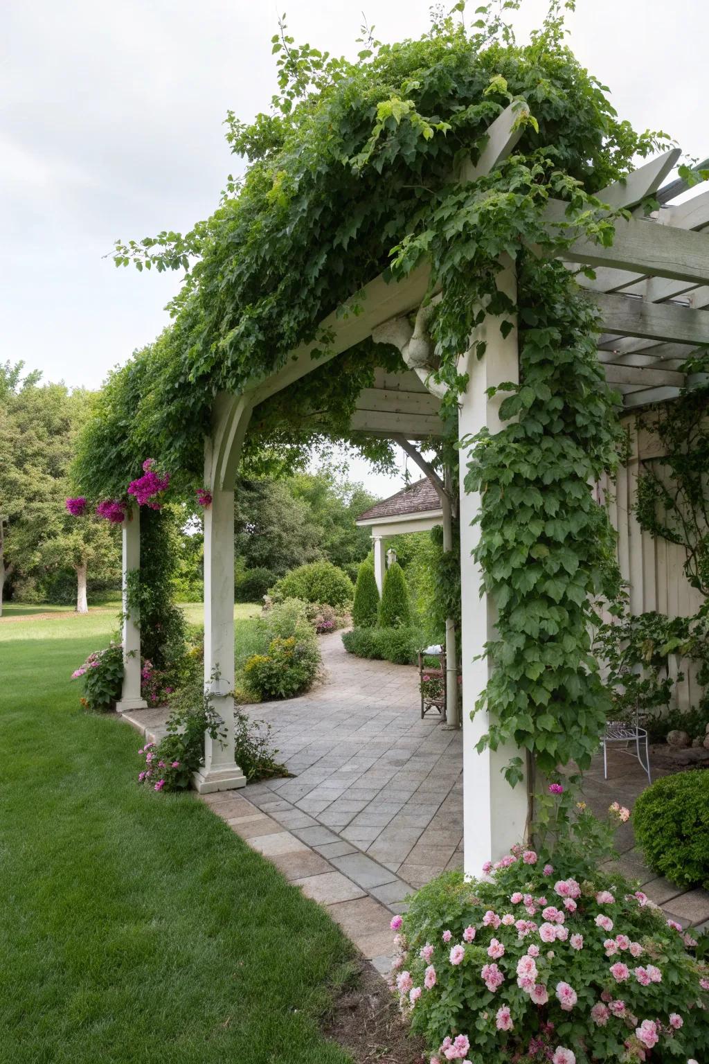 A pergola adds height and a framework for climbing plants.
