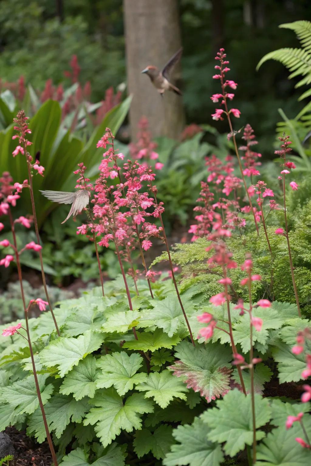 Wildlife-friendly plants bring nature closer to home.
