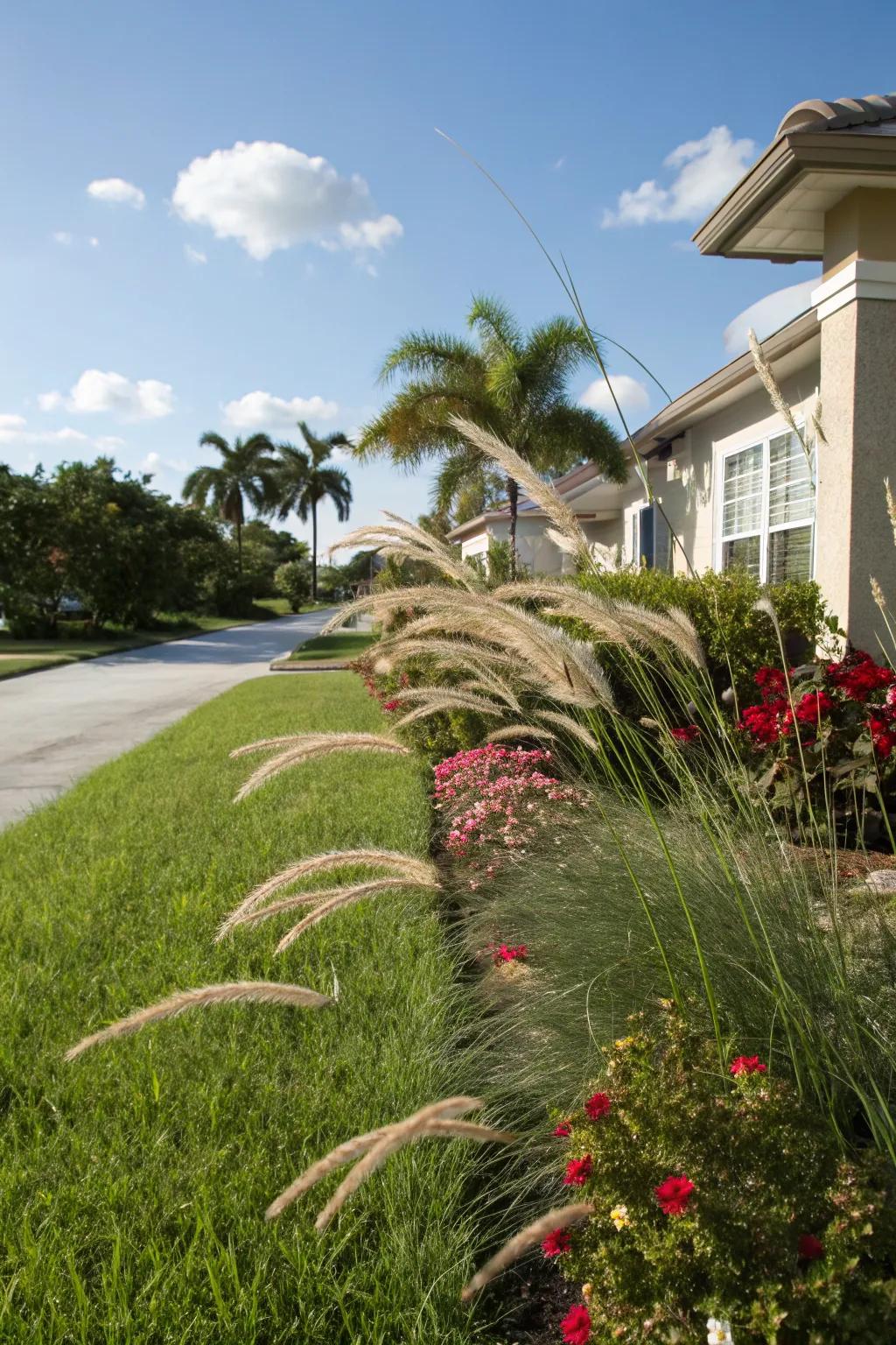 Ornamental grasses add texture and elegance to your yard.