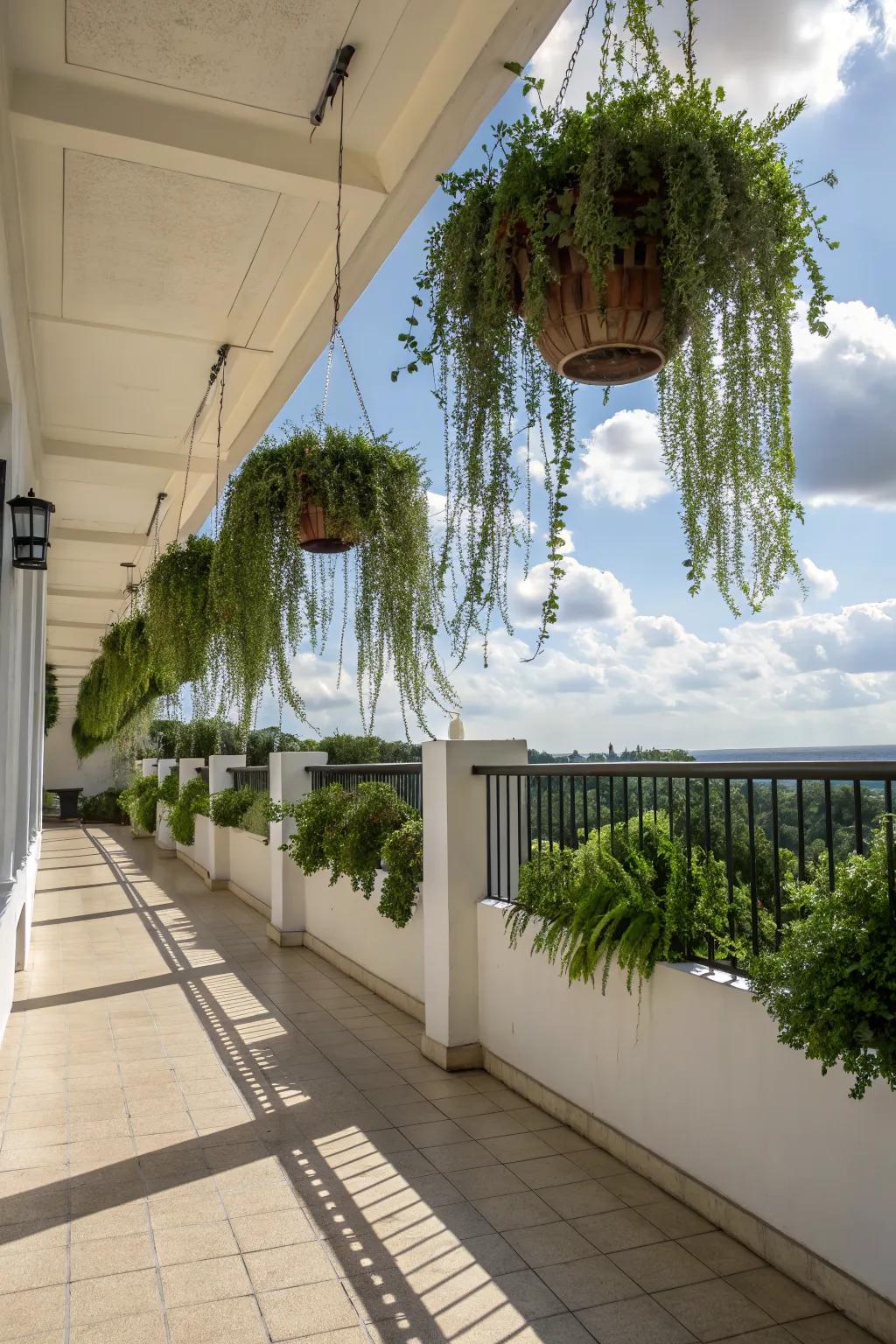 Maximize space with hanging plants.