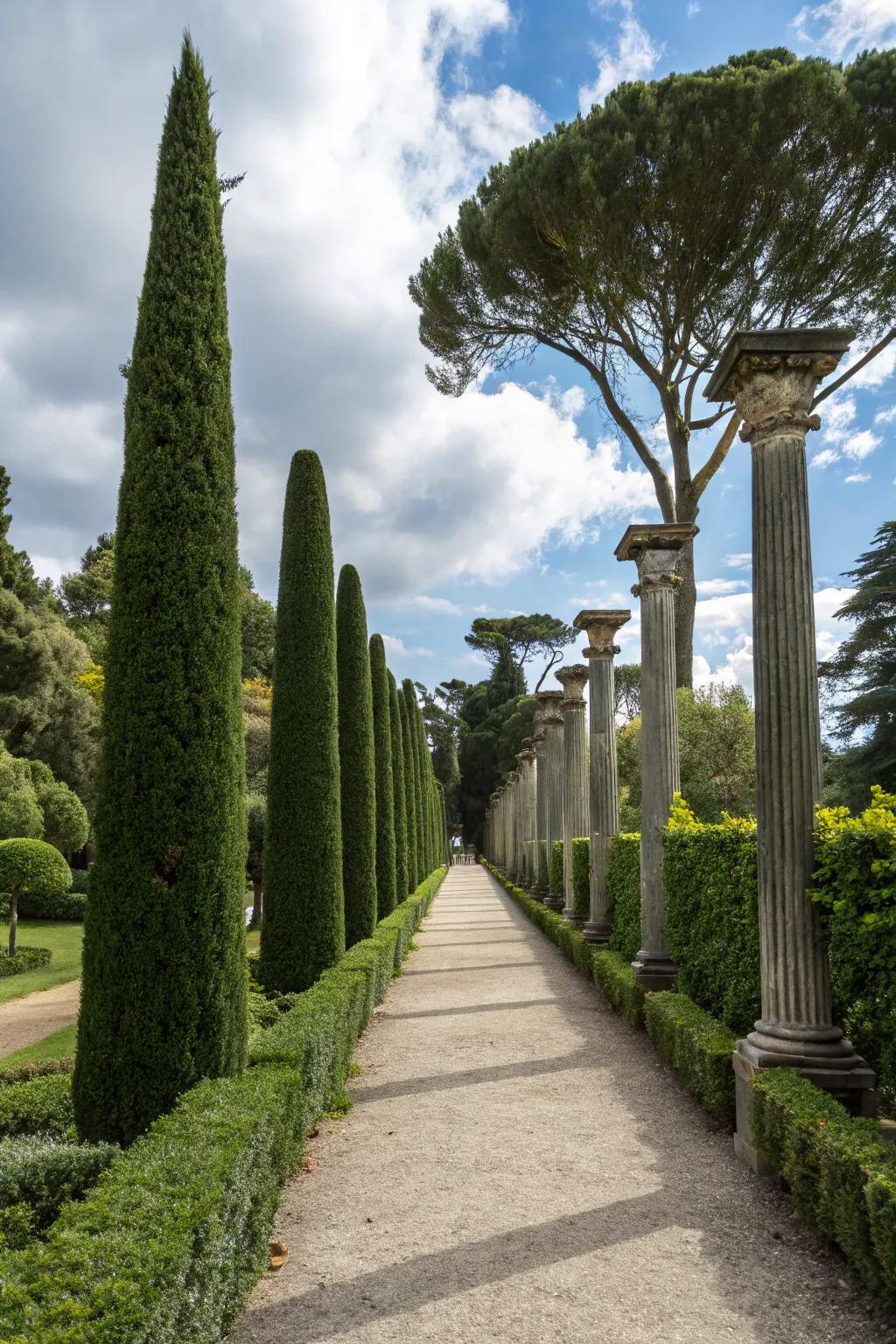 Tree columns add elegance and structure to pathways.