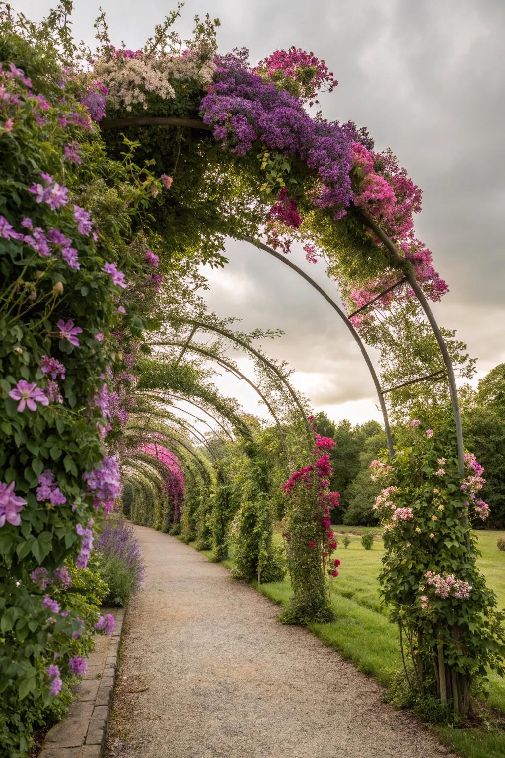 A fairytale tunnel adorned with colorful clematis blooms.