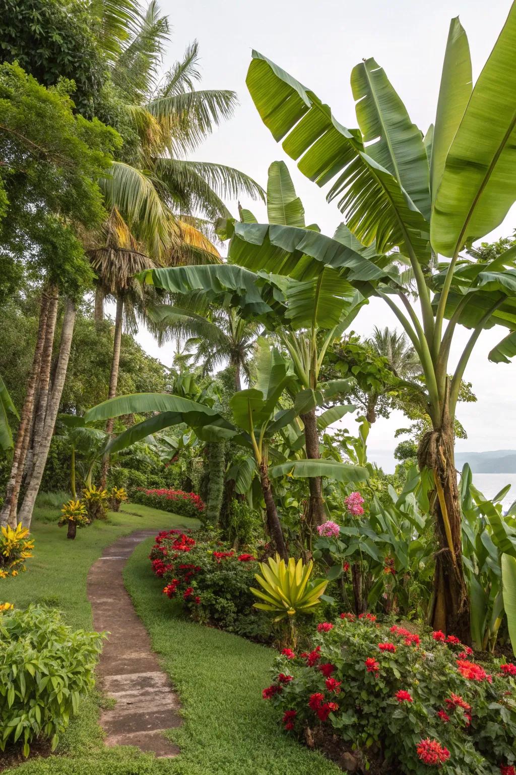 Large-leaf plants offer shade and dramatic flair.