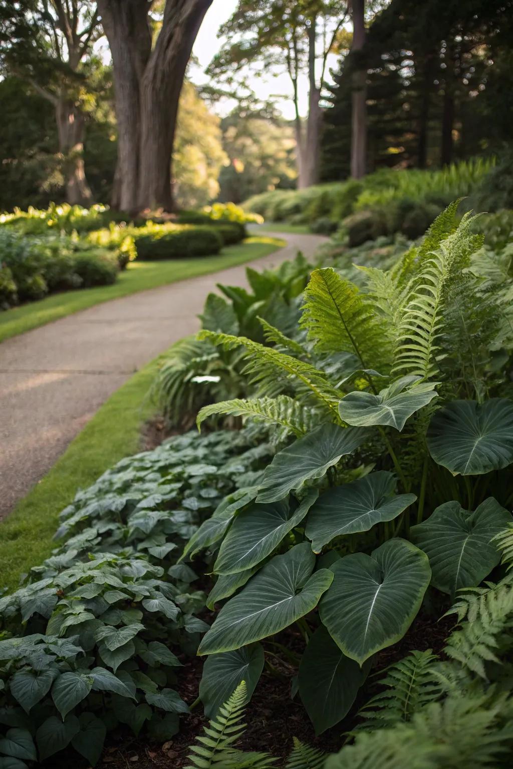 Mix plant textures like smooth and feathery for visual interest.
