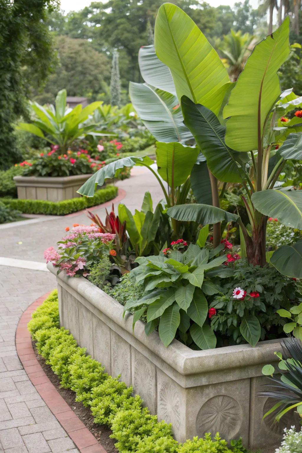 A tropical oasis created with a trough planter.