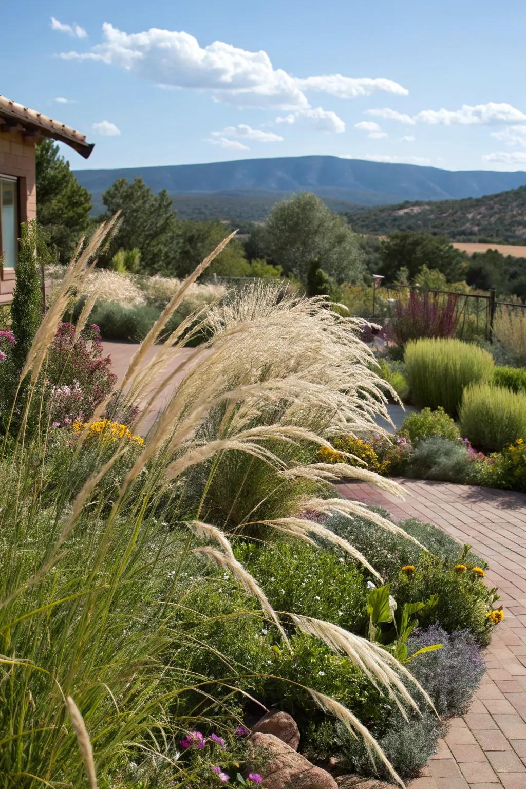 Ornamental grasses adding movement and texture to a New Mexico garden.