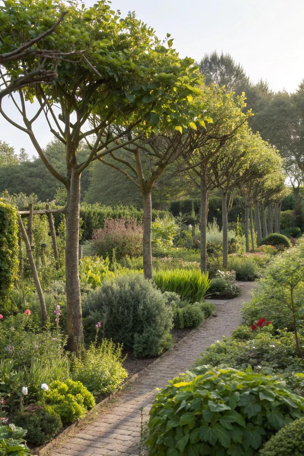 Windbreaks protect gardens from harsh conditions.