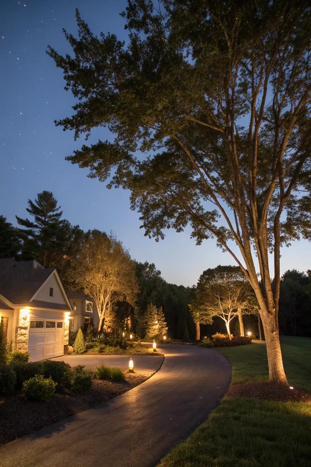 An asphalt driveway with uplighting creating dramatic evening focal points.