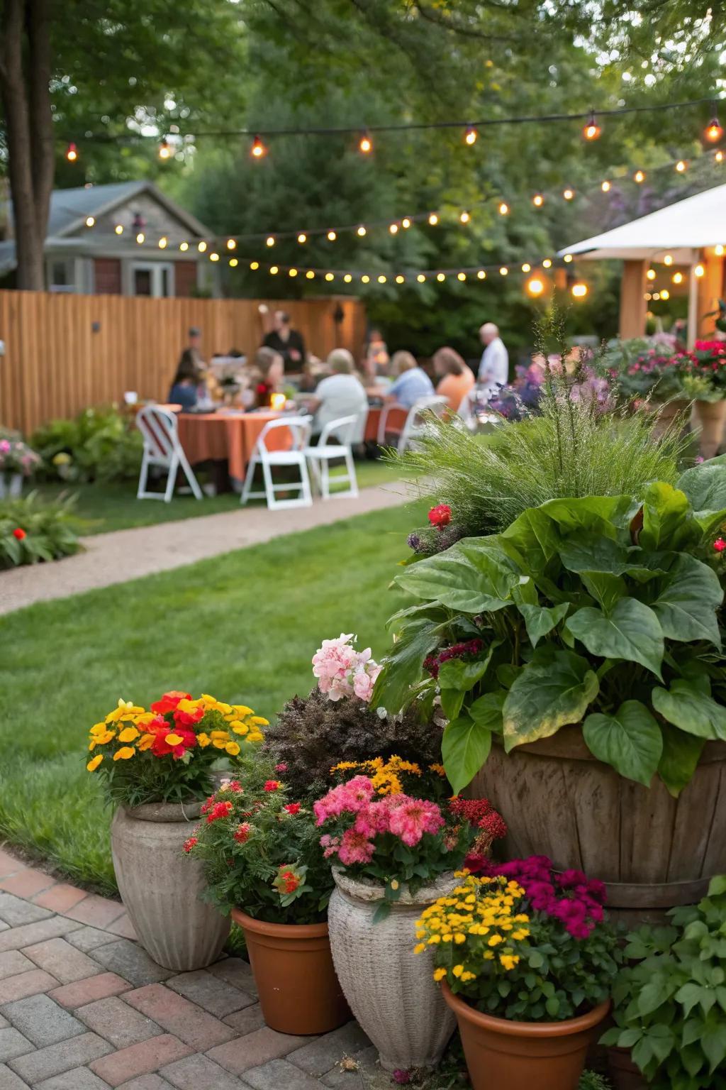 Enhance natural beauty with vibrant plant displays.
