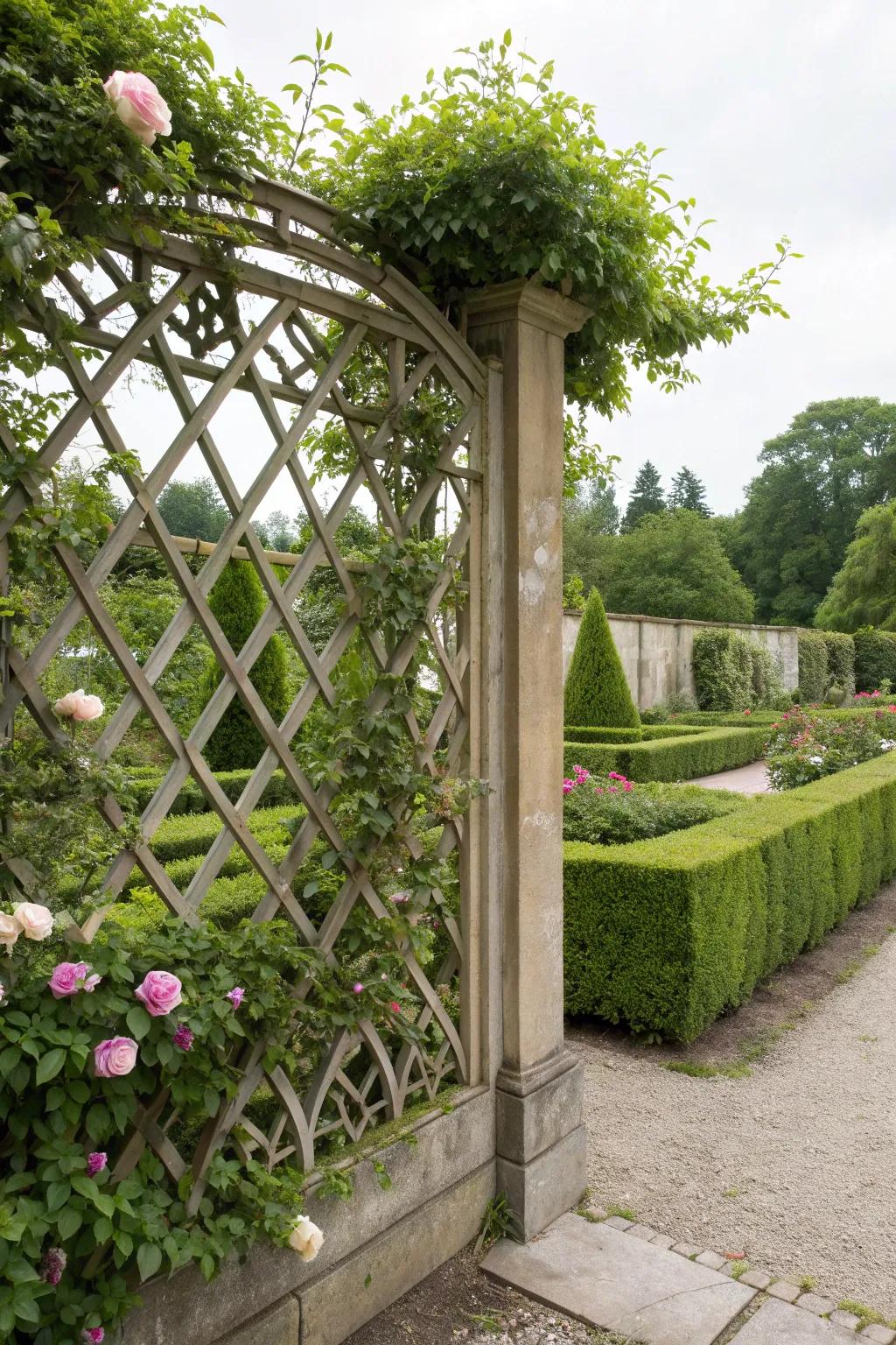Lattice fences offer elegance and support for plants.
