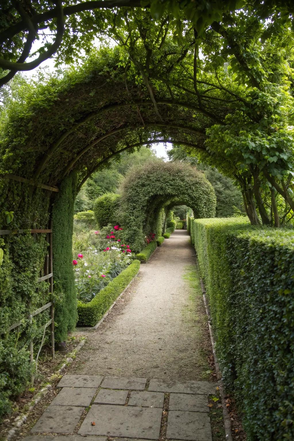 A romantic boxwood-covered archway over a garden path.
