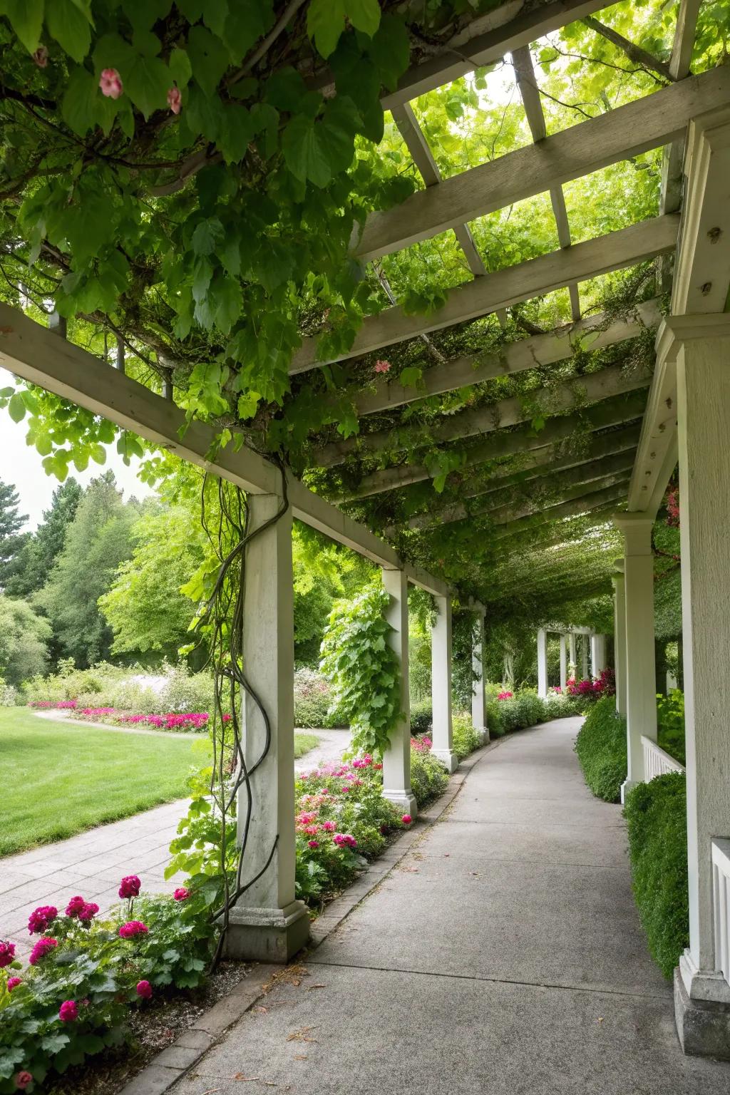 Trellises with climbing plants add a natural touch to carports.