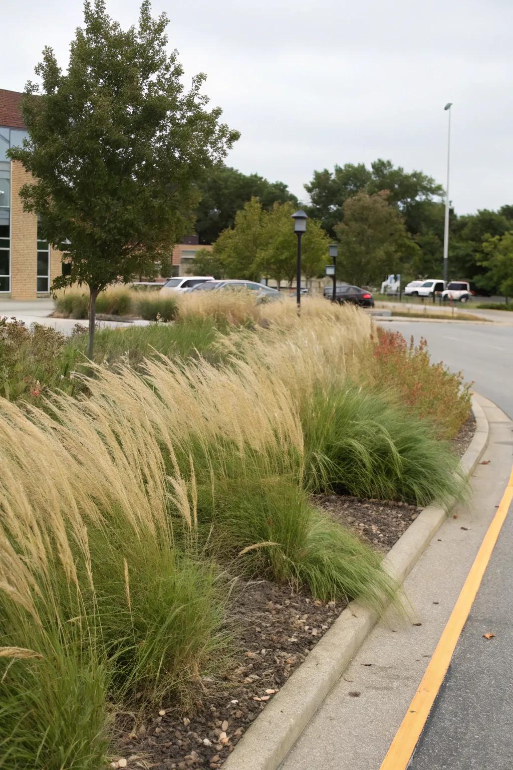 Ornamental grasses provide a soft, natural windbreak.