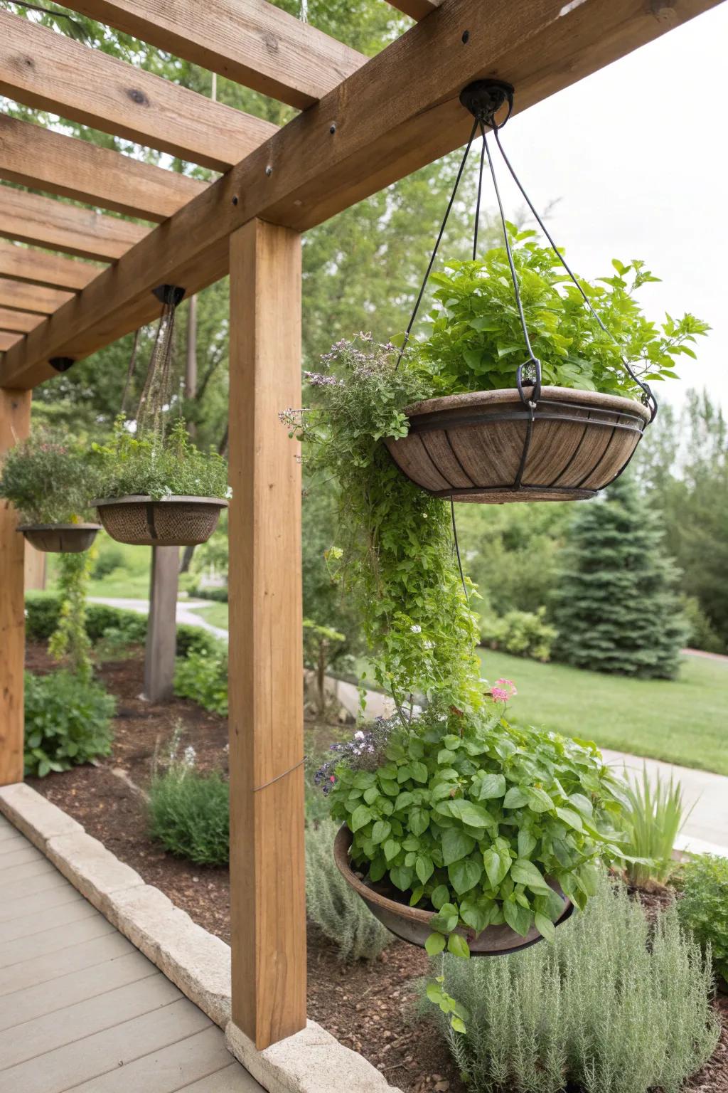 Elevate your culinary game with a pergola-supported herb garden.