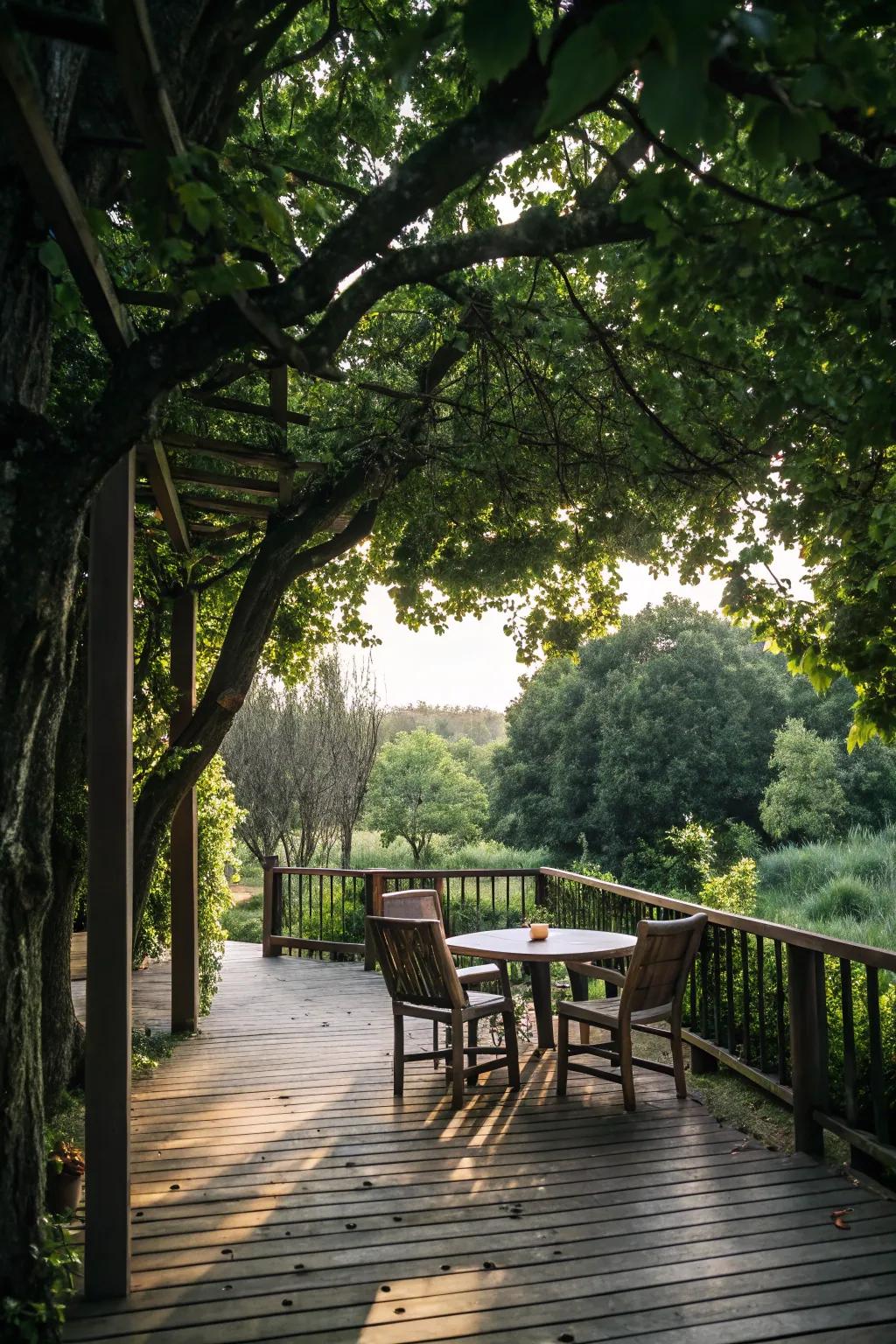 Natural tree canopies offer eco-friendly shade.