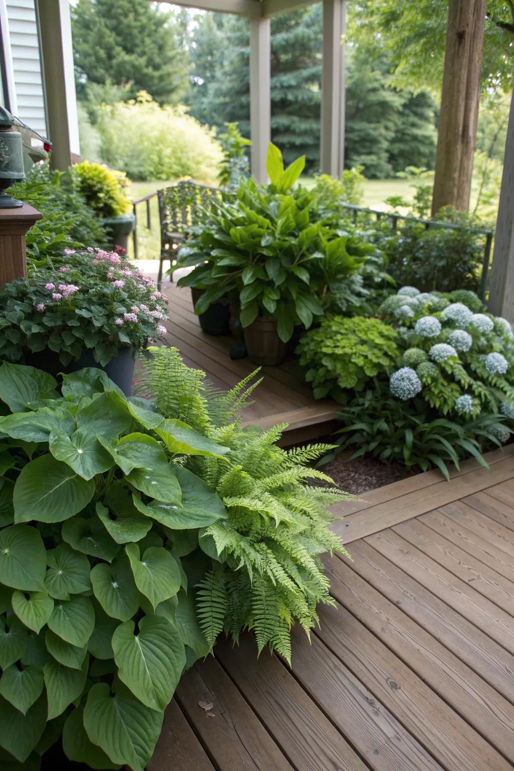 Lush up your cool corners with shade-loving plants.