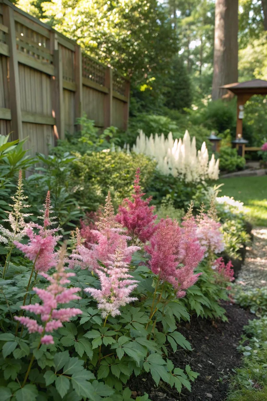 Astilbe adds elegance to shady garden areas while fending off deer.
