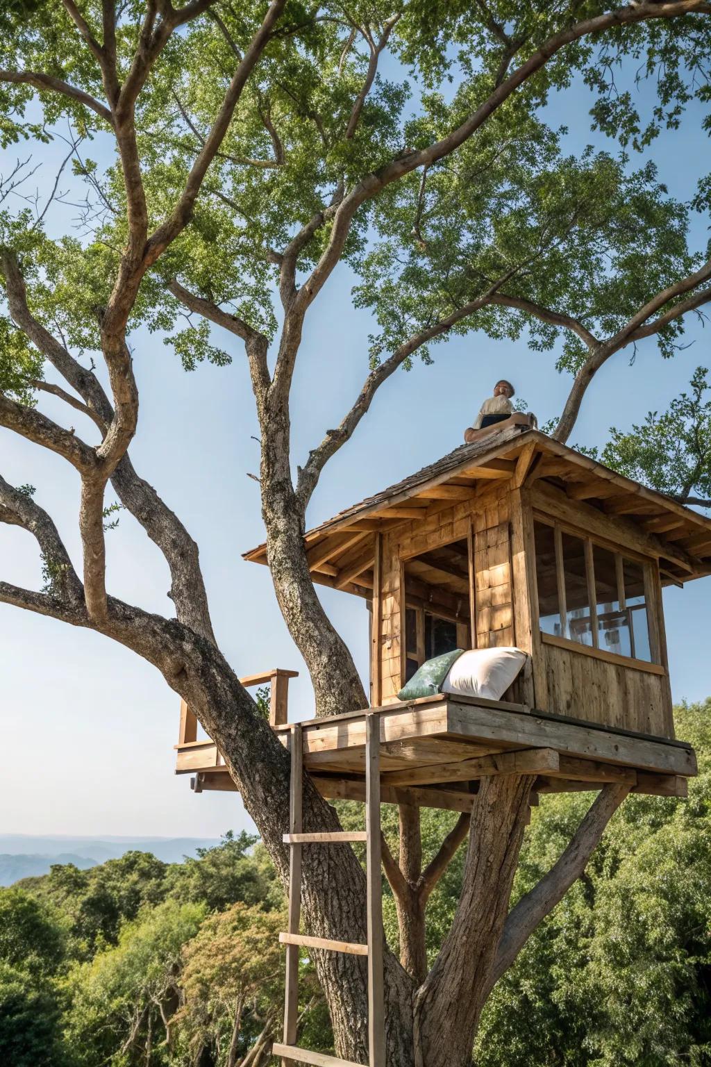 A serene tree house designed for tranquility and meditation.
