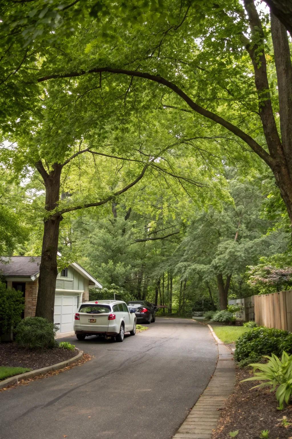 Hidden turnouts offer discreet additional parking options.
