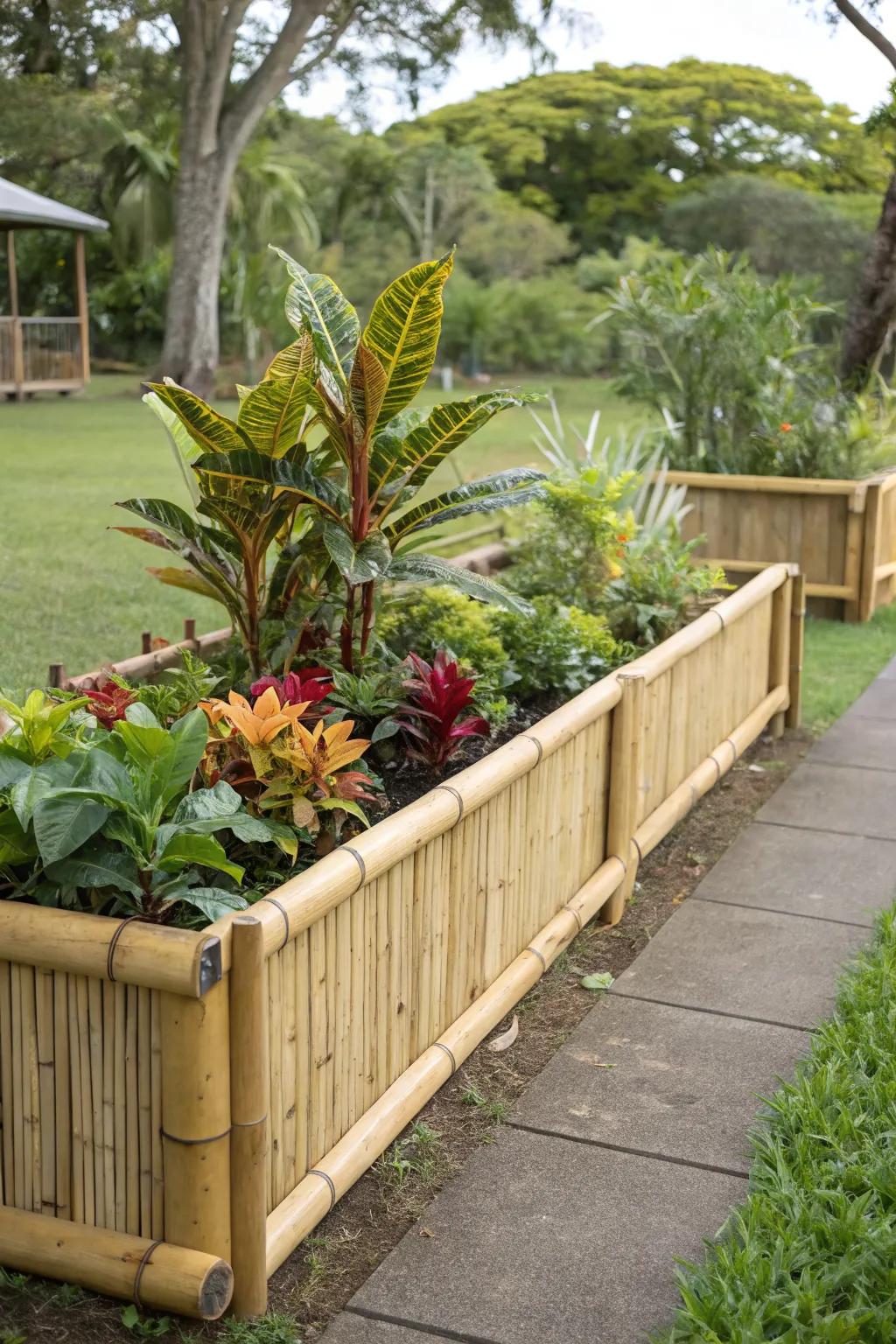 Tropical vibes with bamboo border raised beds.