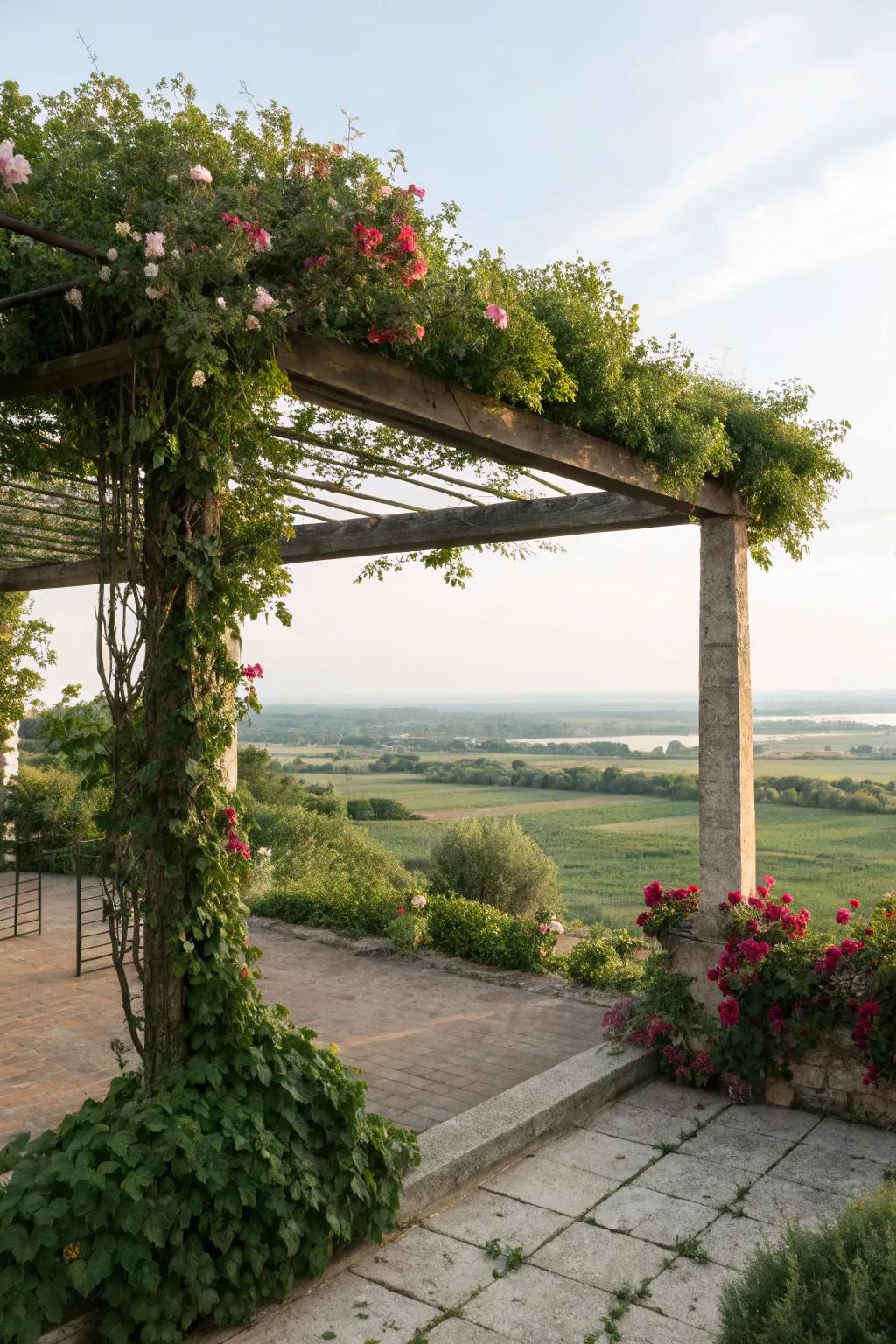 Pergolas provide shade and an architectural focal point.