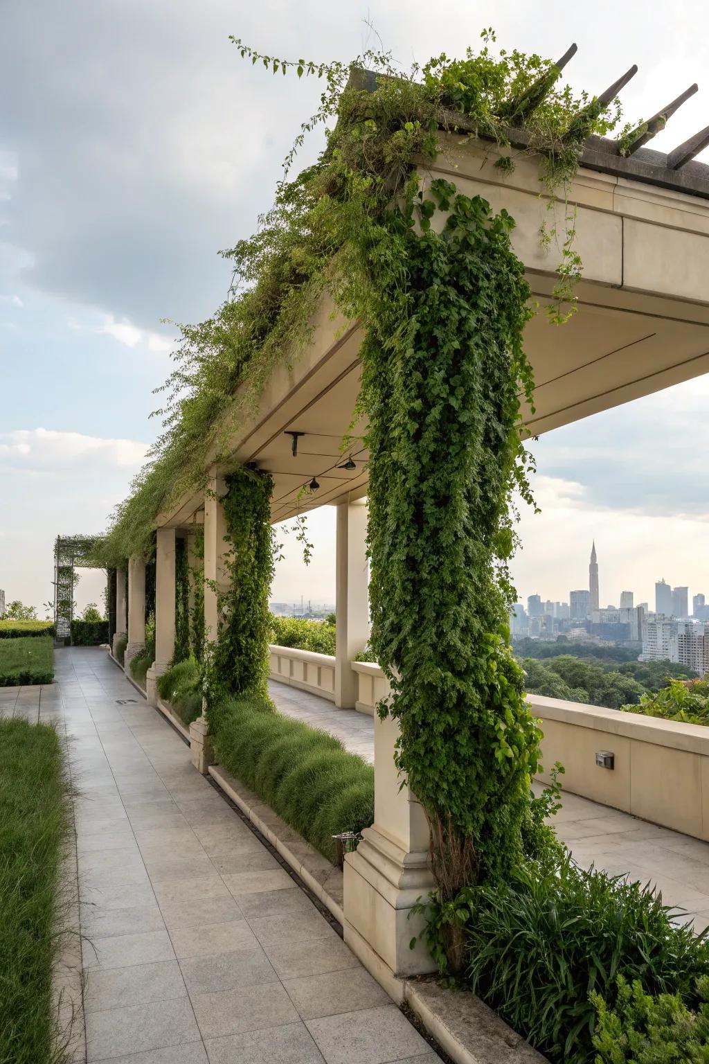 A vertical garden brings nature close to this flat roof portico, creating a green oasis.
