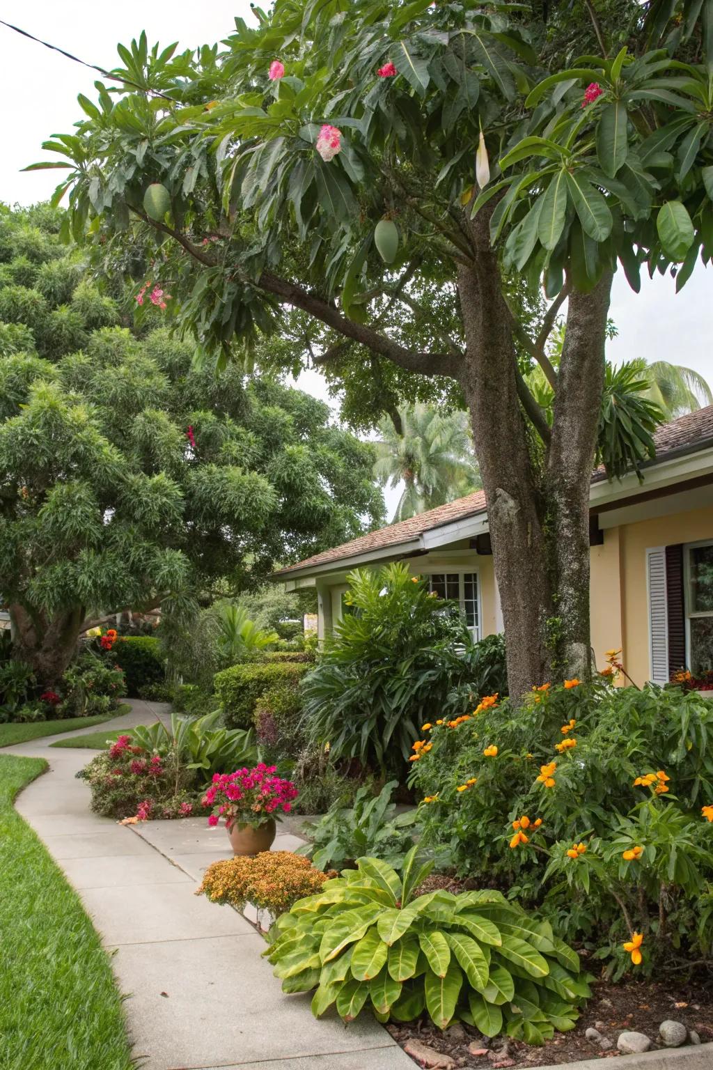 Tropical fruit trees that enhance beauty and provide fruit.
