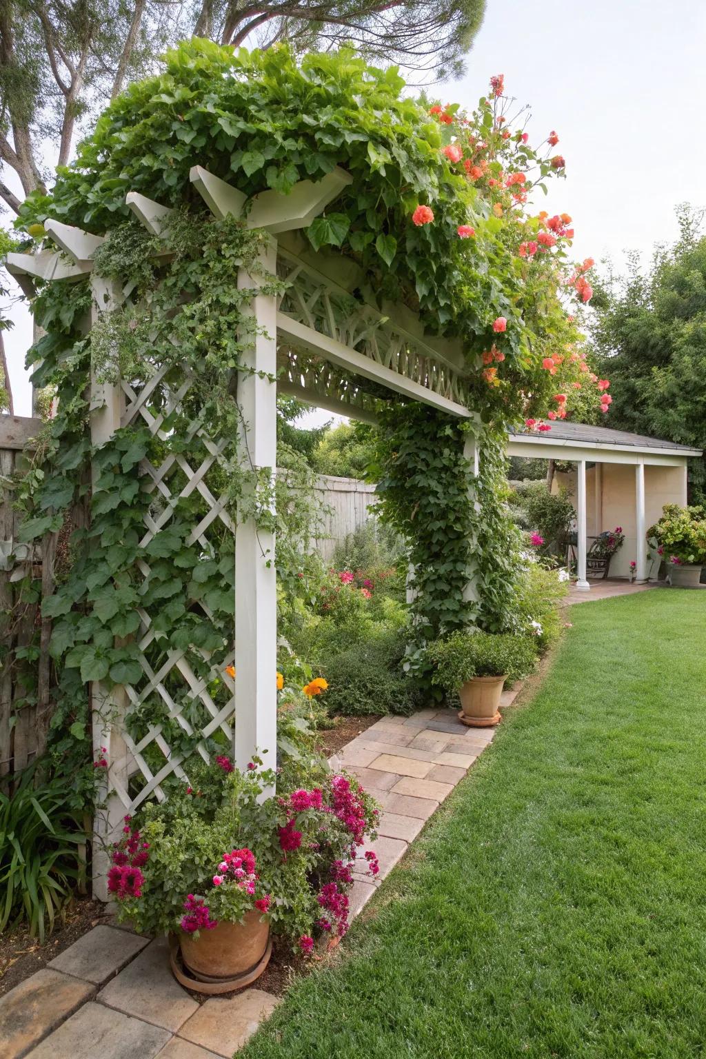 Trellises provide privacy while adding vertical interest.