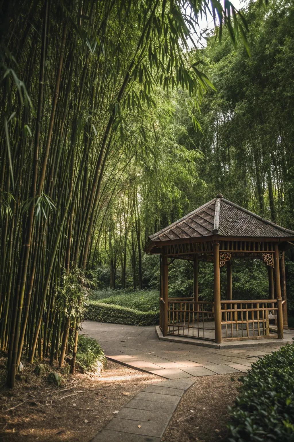 Bamboo provides natural privacy and a serene backdrop for this gazebo.