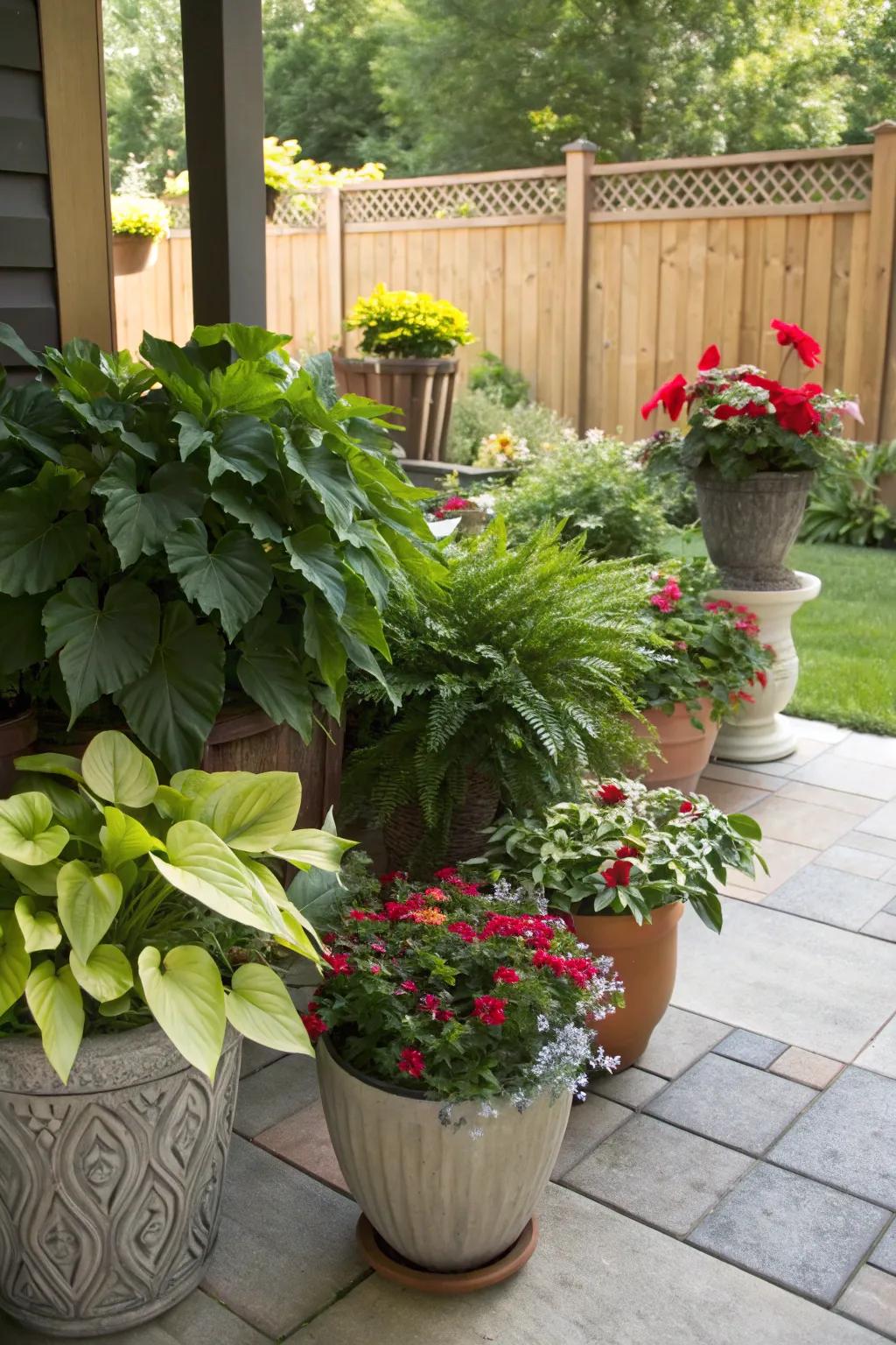 Potted plants adding versatility and style.