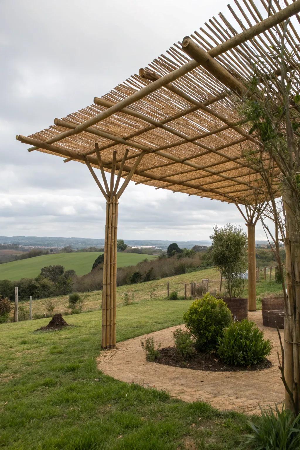 Bamboo retreat offering a cool, natural shade.