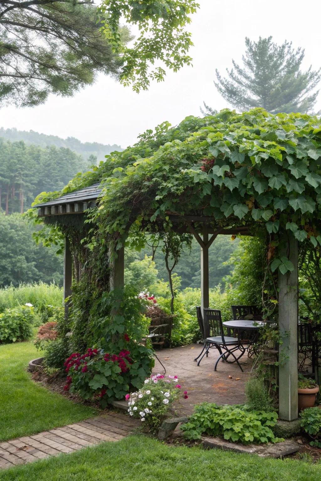 A tranquil shade house providing a peaceful escape in the backyard.
