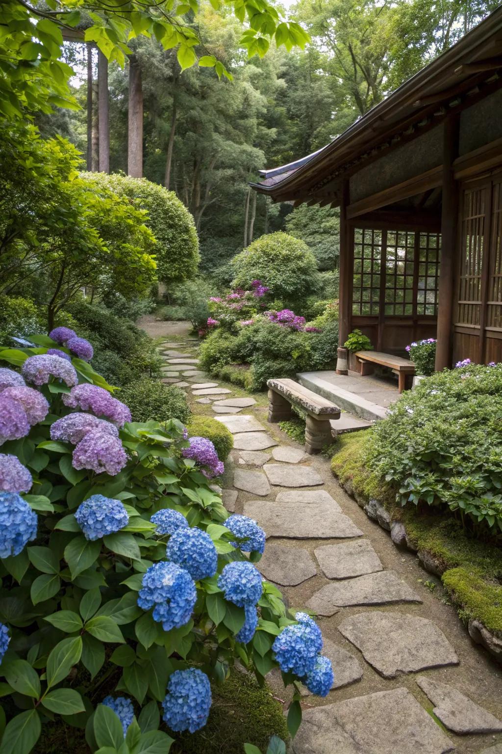 Hydrangeas arranged for Feng Shui create a peaceful and balanced garden space.