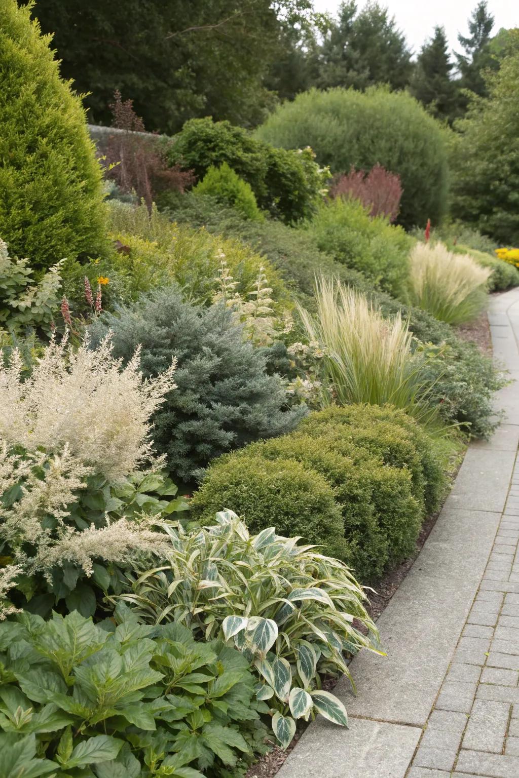 Mixed shrub borders provide year-round interest with diverse textures and colors.