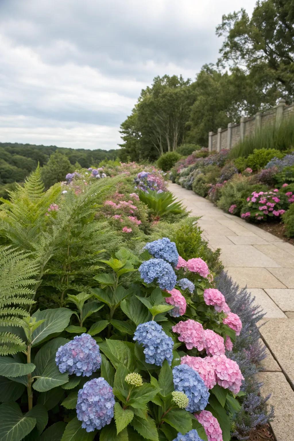 Pair hydrangeas with contrasting plants for a dramatic look.
