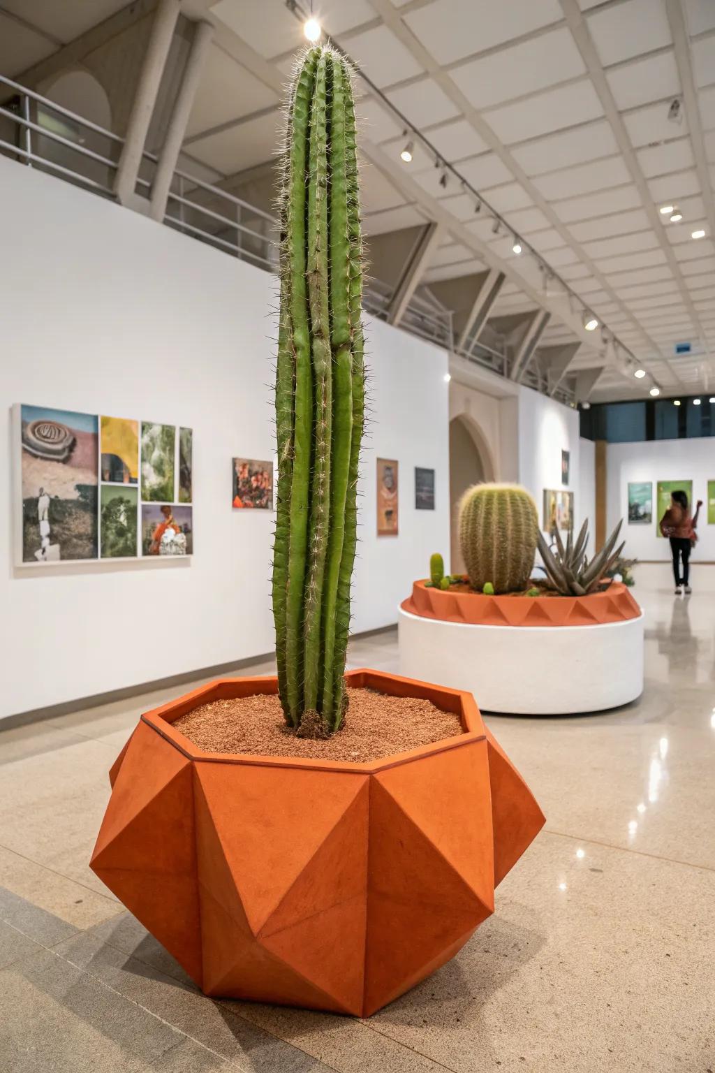 Abstract planters transform cactus displays into sculptural art pieces.