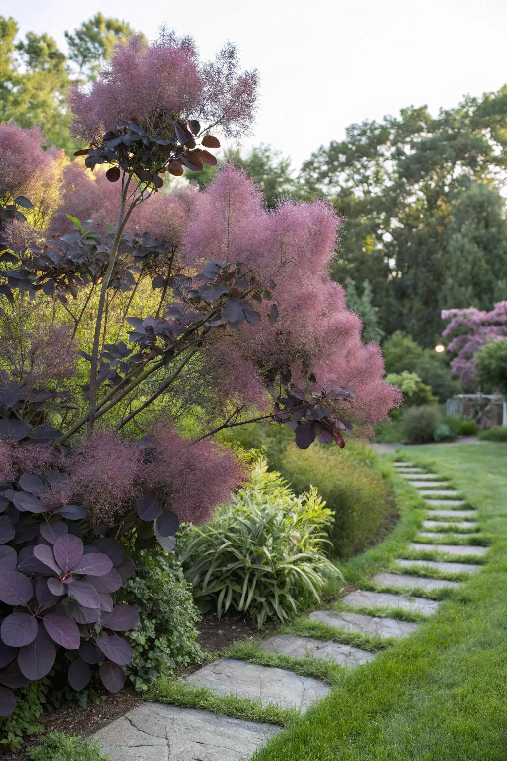 Smoke Bushes add dramatic flair with minimal maintenance.