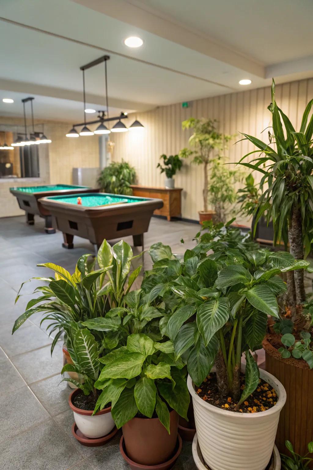 Plants bring a fresh and vibrant feel to your pool room.