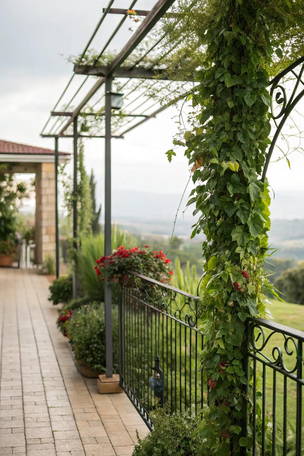 A metal porch enriched with vertical gardens.