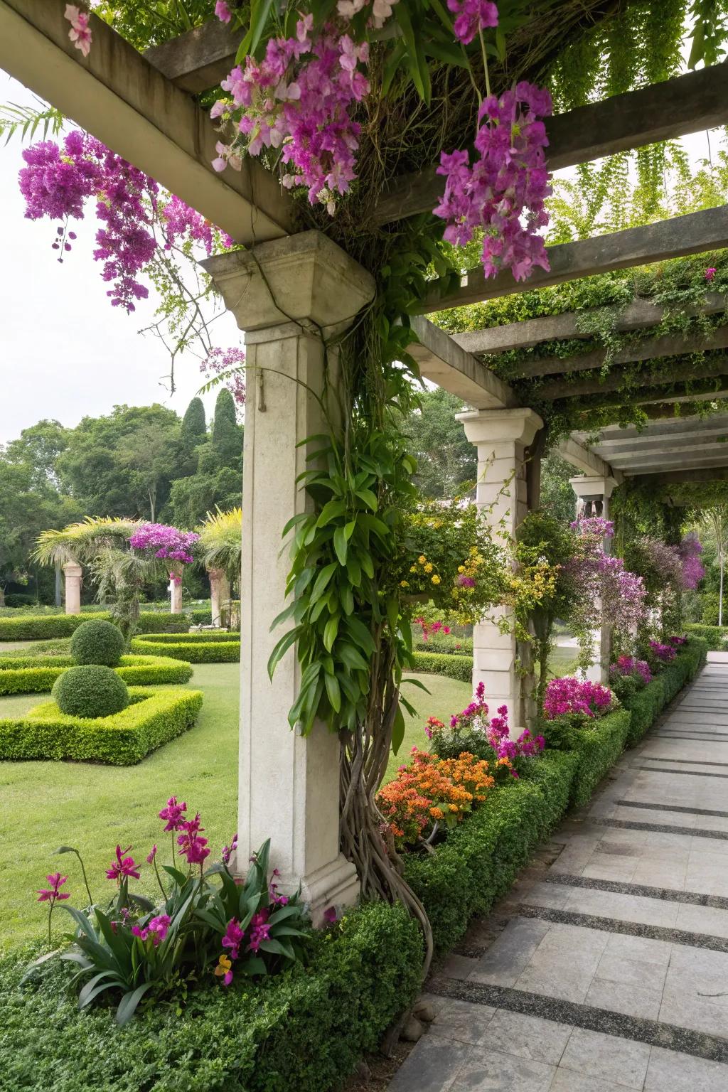 Climbing orchids transform a pergola into a romantic garden feature.