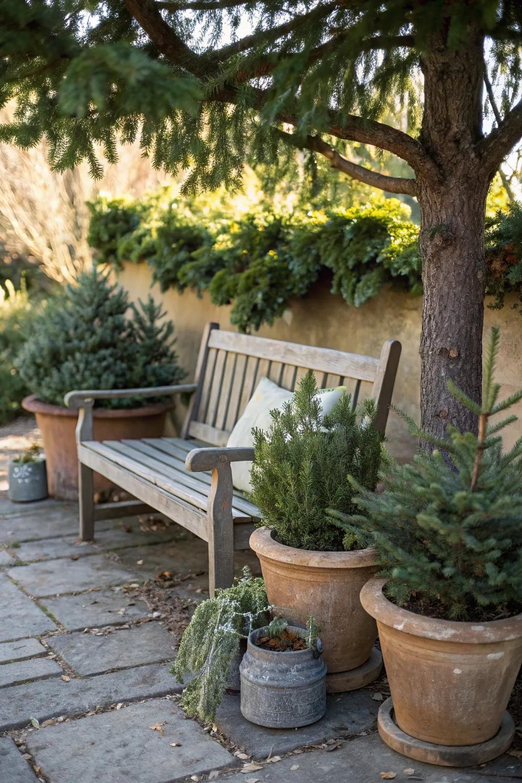 Repurposed pots offer sustainable festive decor.