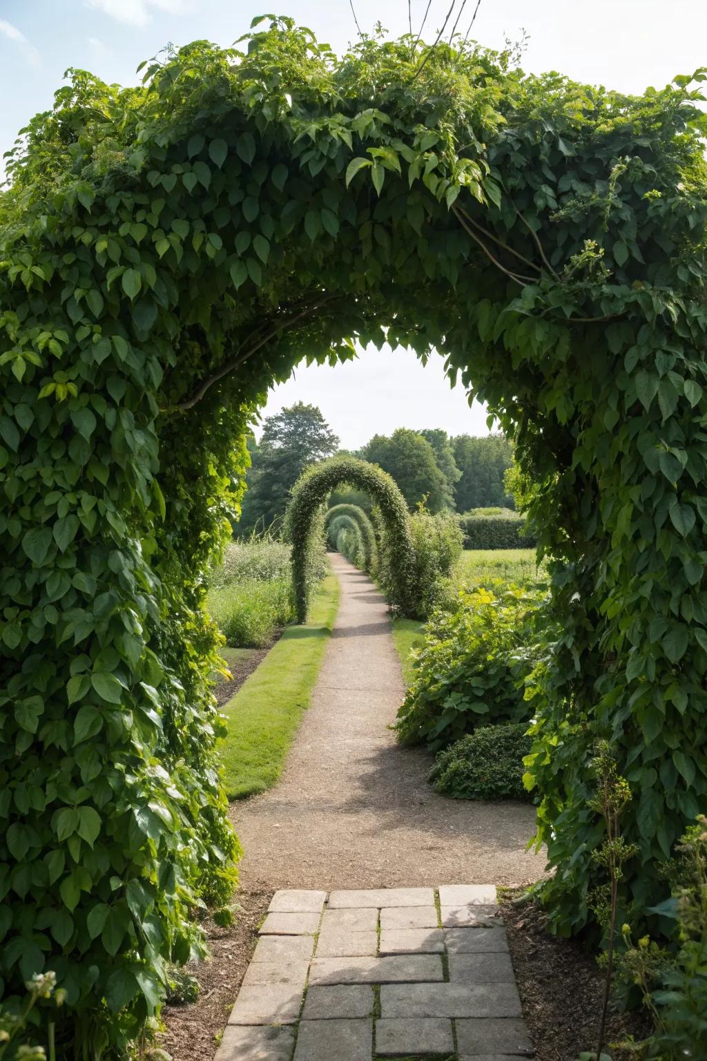 A living archway transforms your garden into a magical space.