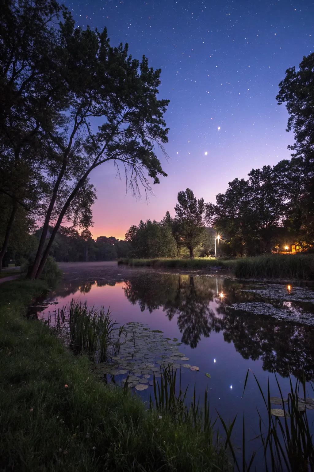 Illuminate your pond with enchanting lighting effects.