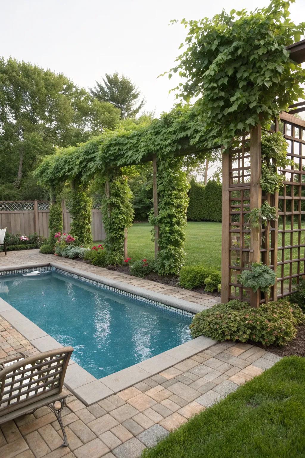 Trellis panels with vines offer a growing privacy solution.