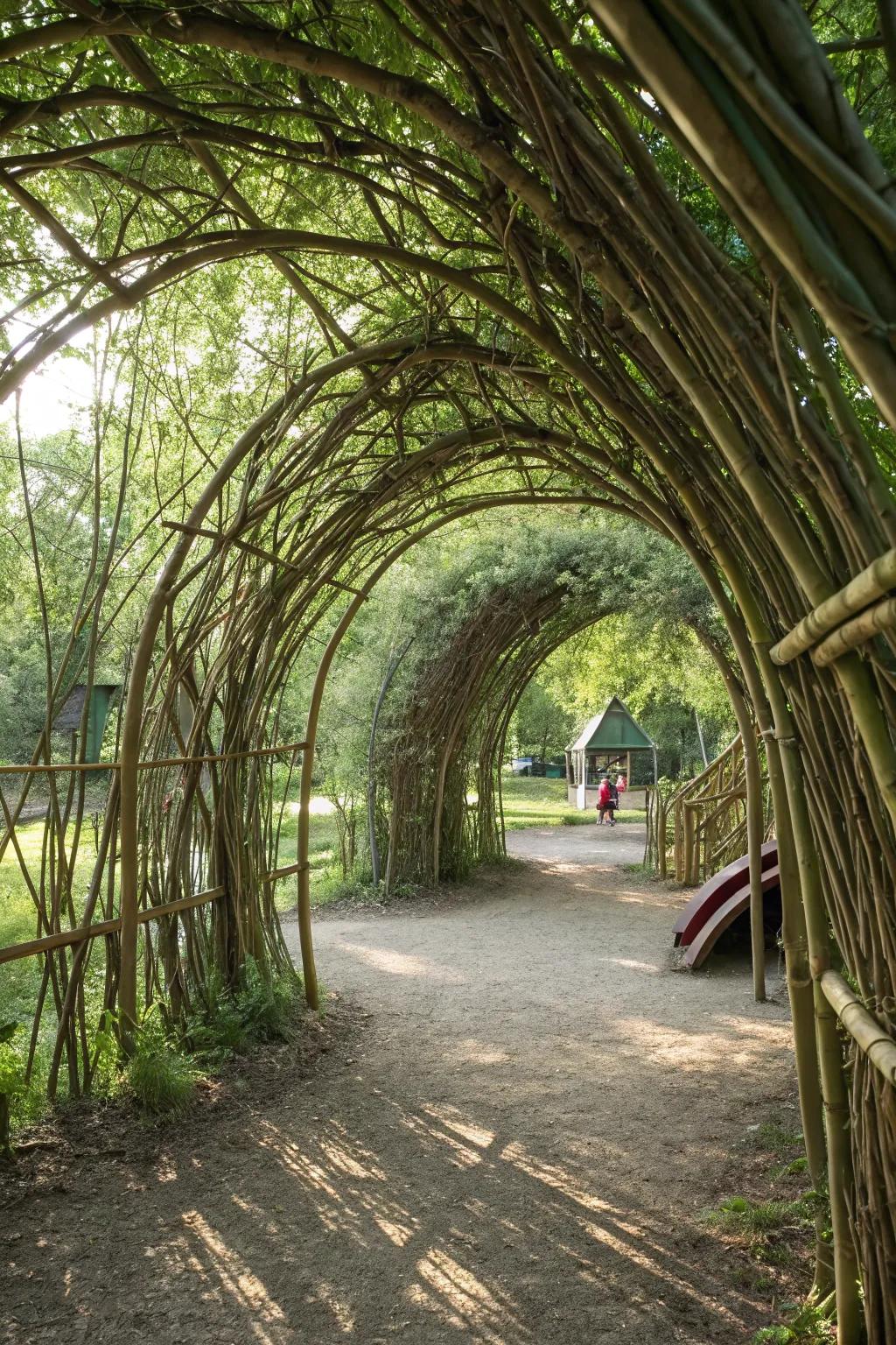 Enchanting willow tunnels inviting preschoolers to crawl and explore.