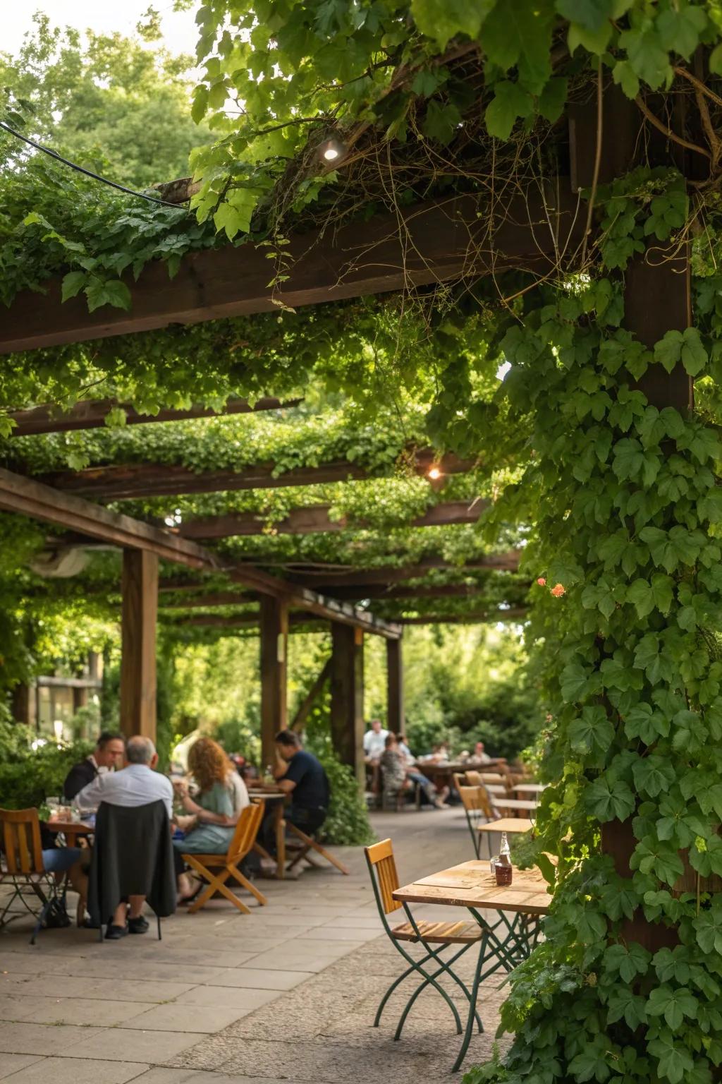 Climbing vines add natural beauty and vertical interest to your garden.