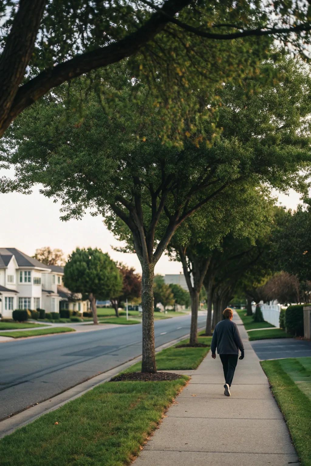 Discover tranquility with a mindful walk in your local area.