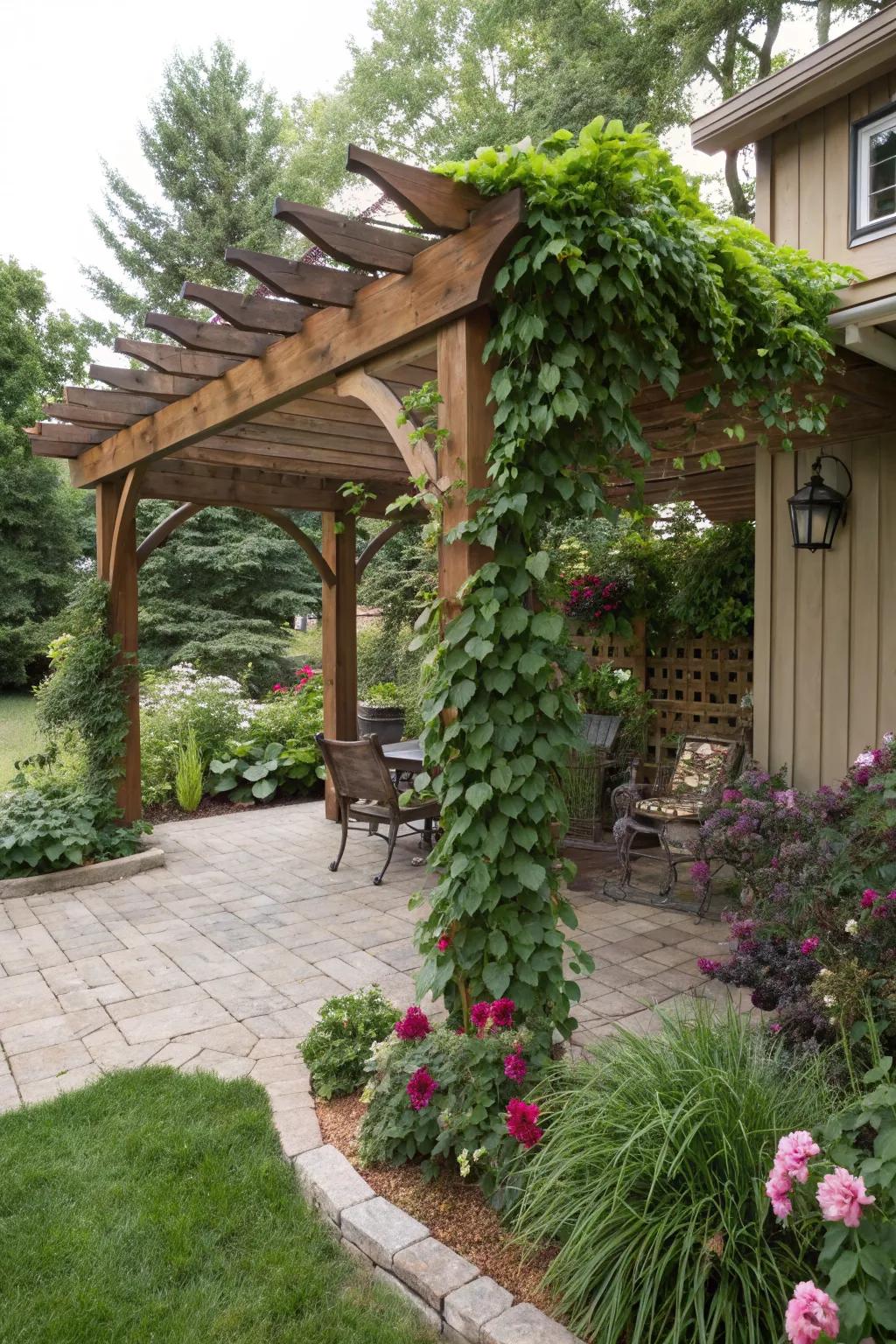 Pergolas provide structure and support for plants.